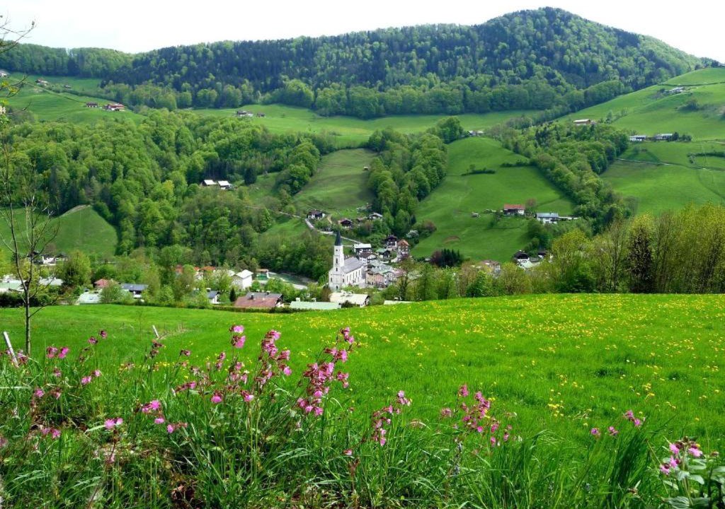 Photo of Outdoor in Marktschellenberg
