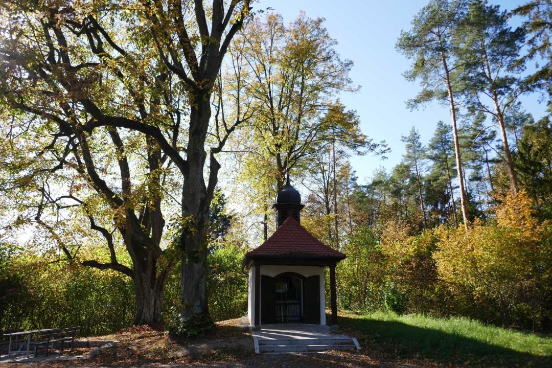 Photo of Others in Nankendorf