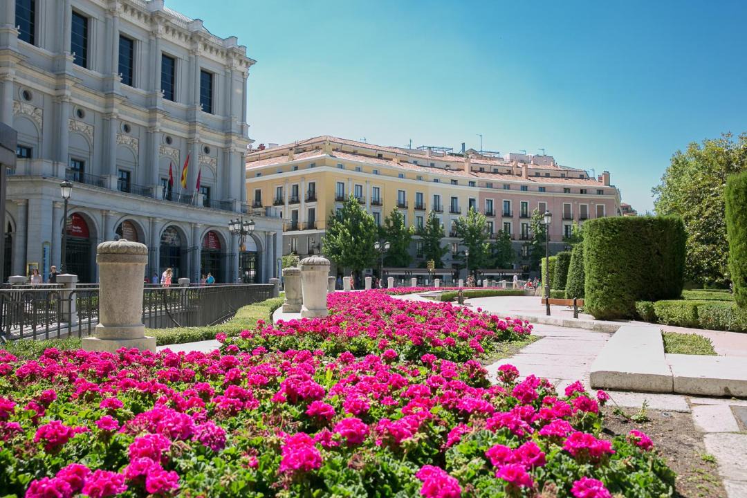 Photo of Others in Palacio