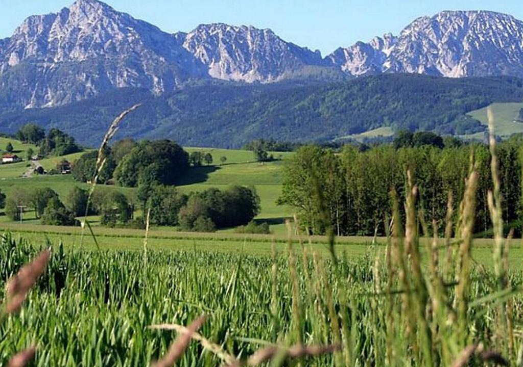 Photo of Others in Teisendorf