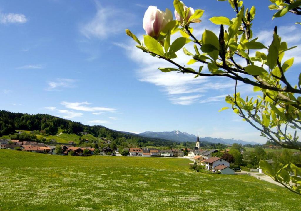 Photo of Outdoor in Teisendorf