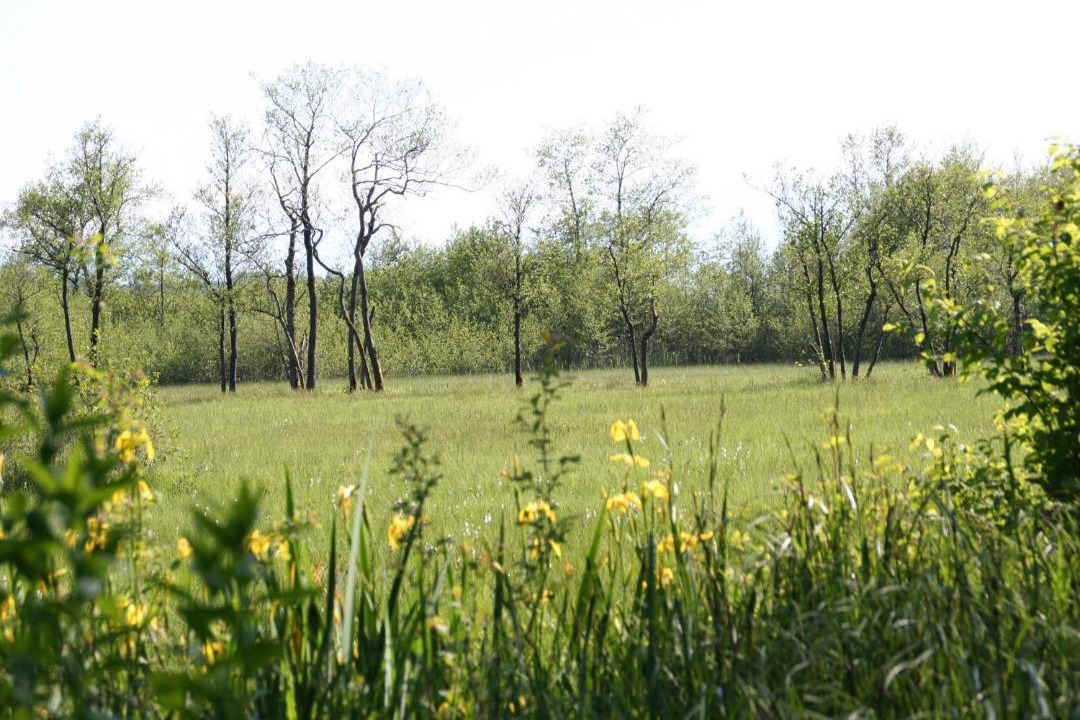 Photo of Outdoor in Bad Endorf