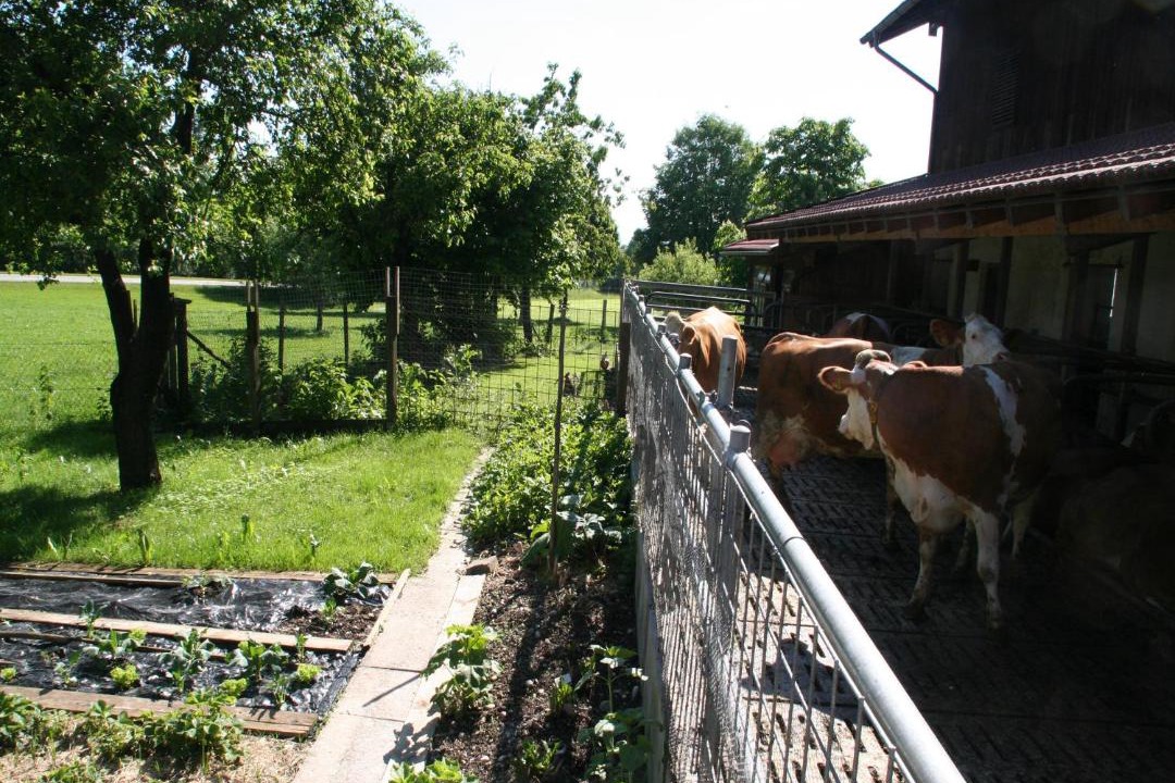Photo of Others in Bad Endorf
