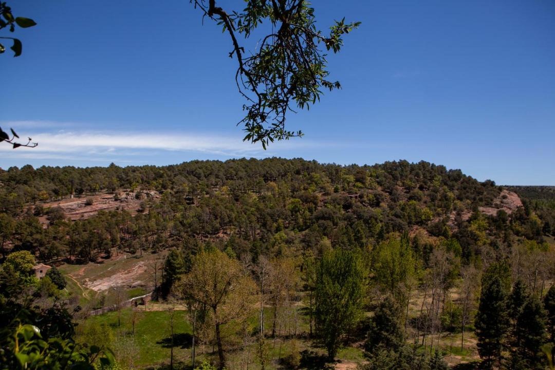 Photo of Others in Siguenza