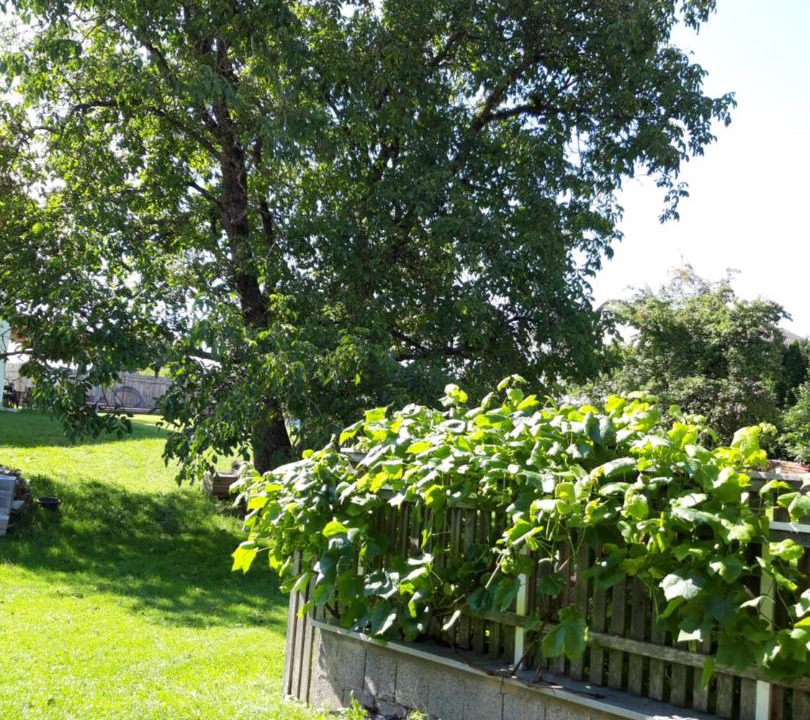 Photo of Others in Roehrnbach