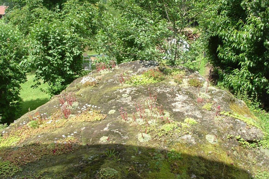 Photo of Outdoor in Kirchdorf im Wald