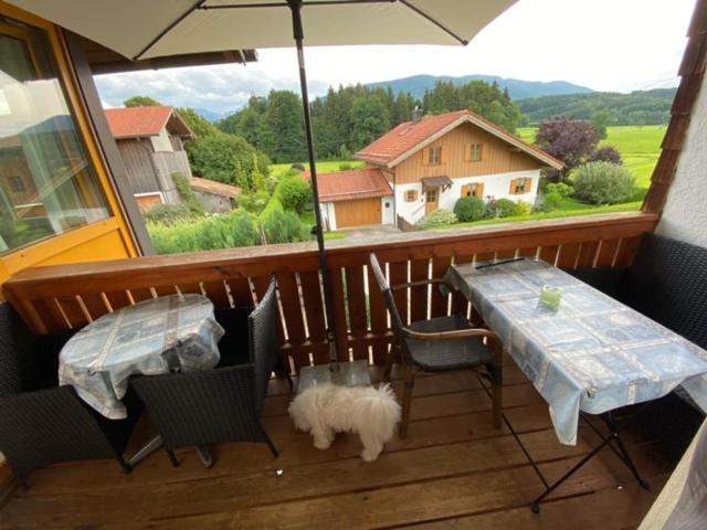 Photo of Others in Teisendorf
