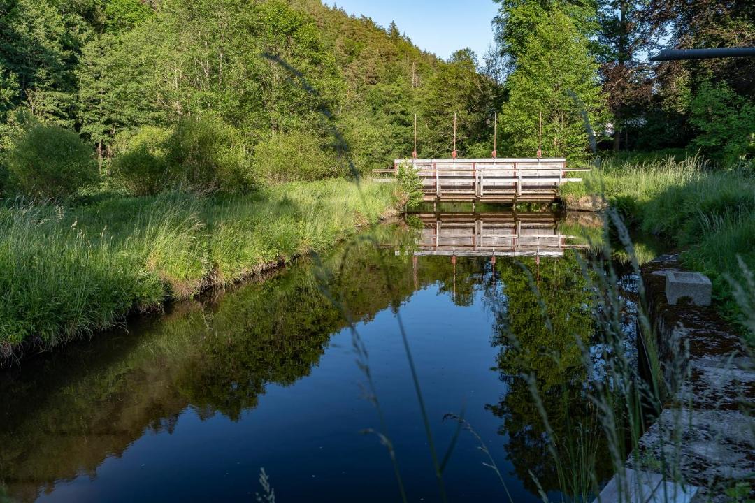 Photo of Others in Neunburg vorm Wald