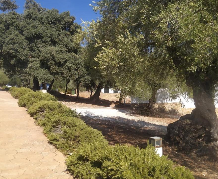 Photo of Outdoor in Estepa