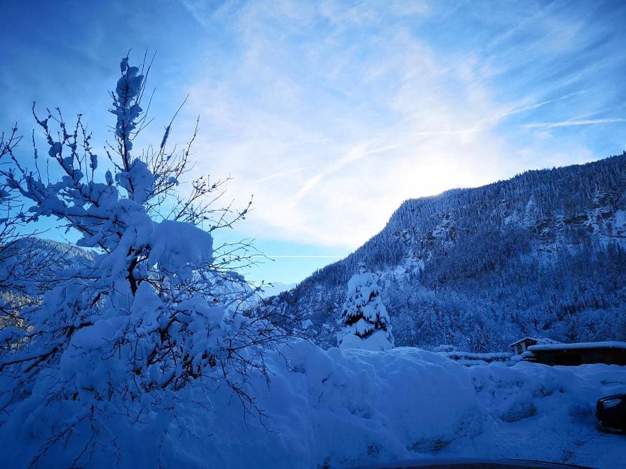 Photo of Others in Konigssee