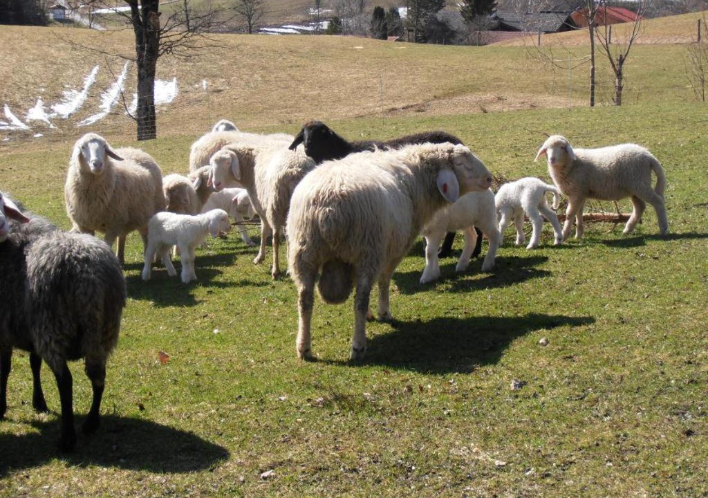 Photo of Others in Ruhpolding