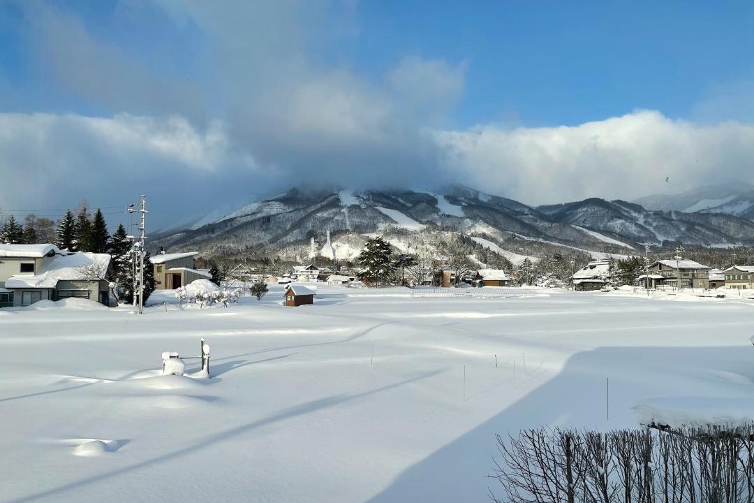 Photo of Others in Hakuba