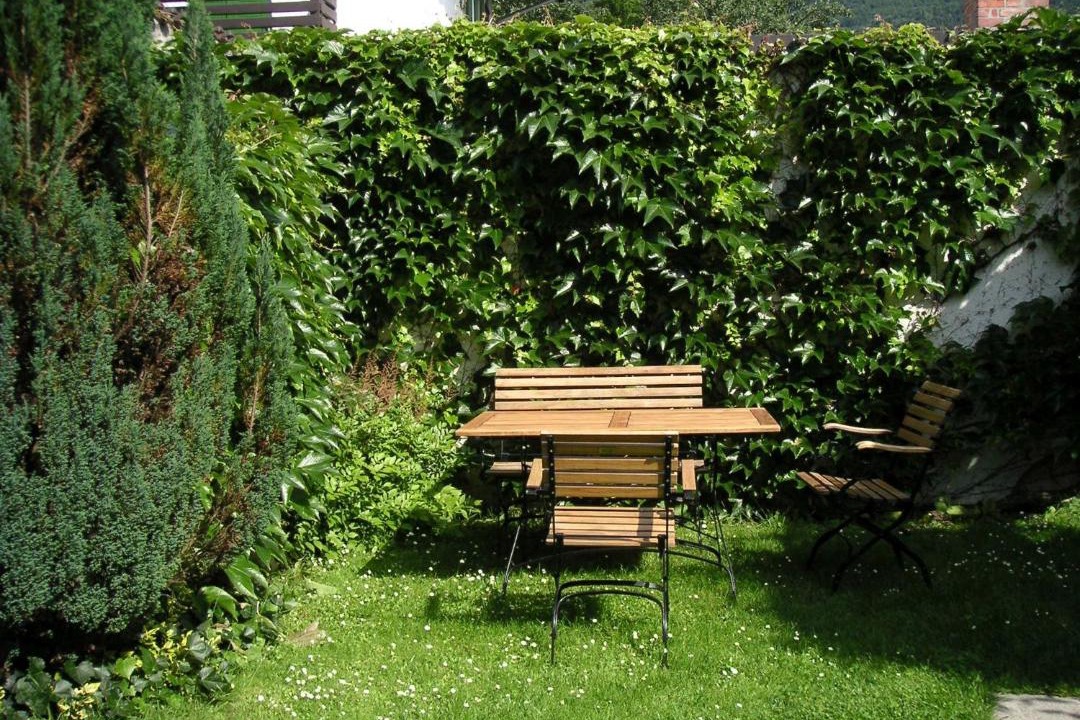 Photo of Others in Bad Reichenhall