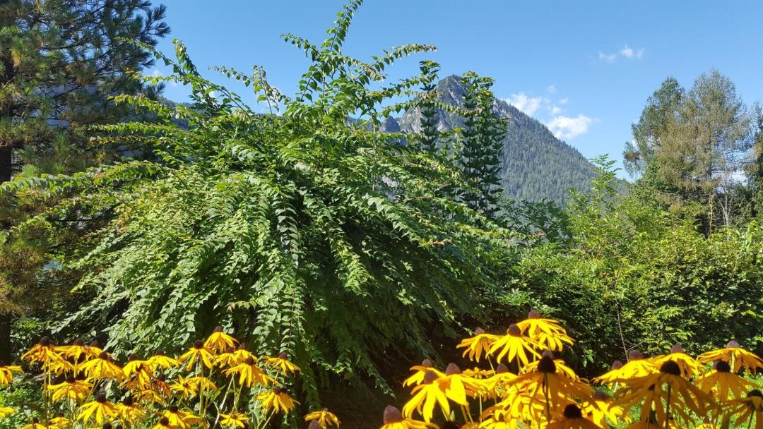 Photo of Outdoor in Konigssee