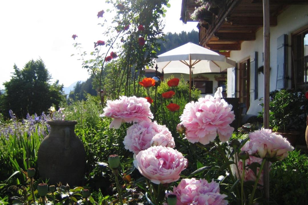 Photo of Others in Birnbach
