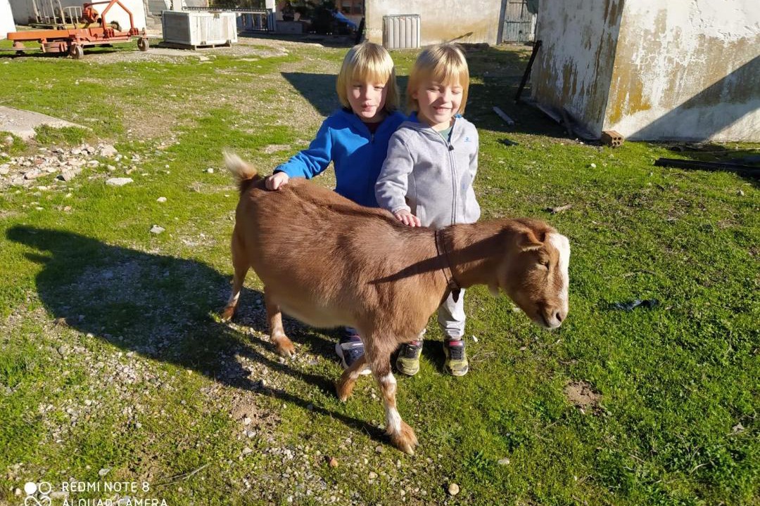 Photo of Others in Mora d'Ebre