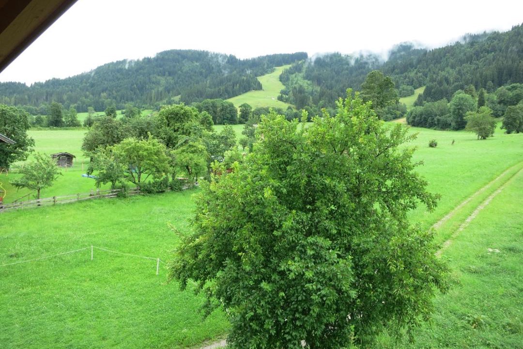 Photo of Others in Niederau