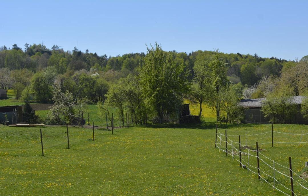 Photo of Others in Egloffstein