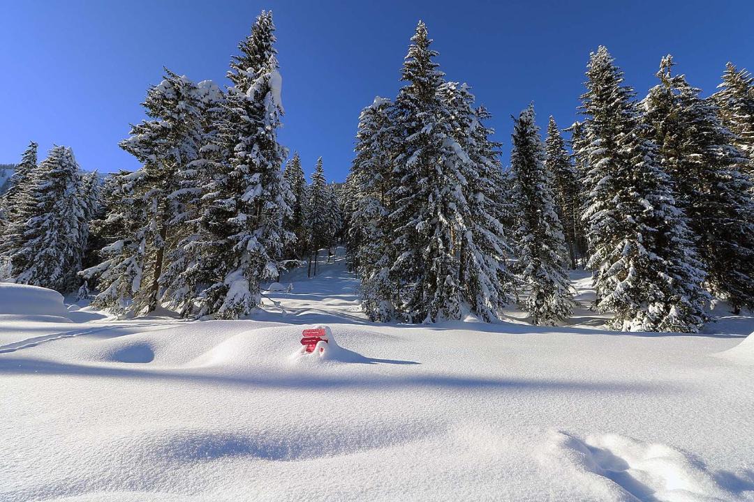 Photo of Others in Kartitsch