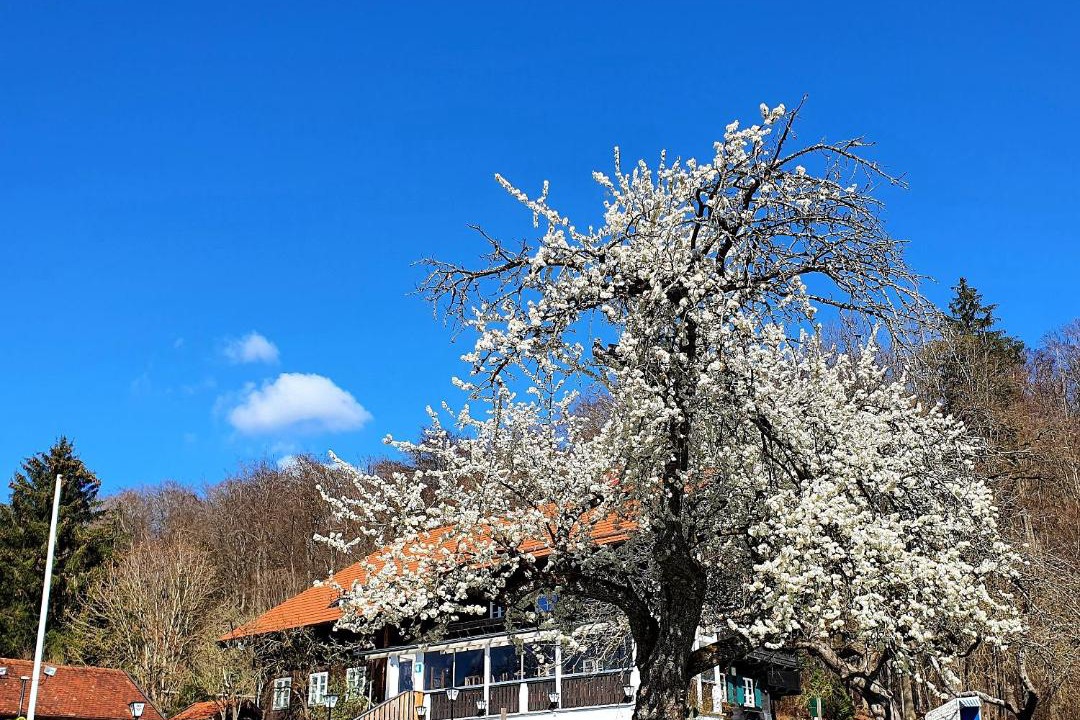 Photo of Others in Diessen am Ammersee