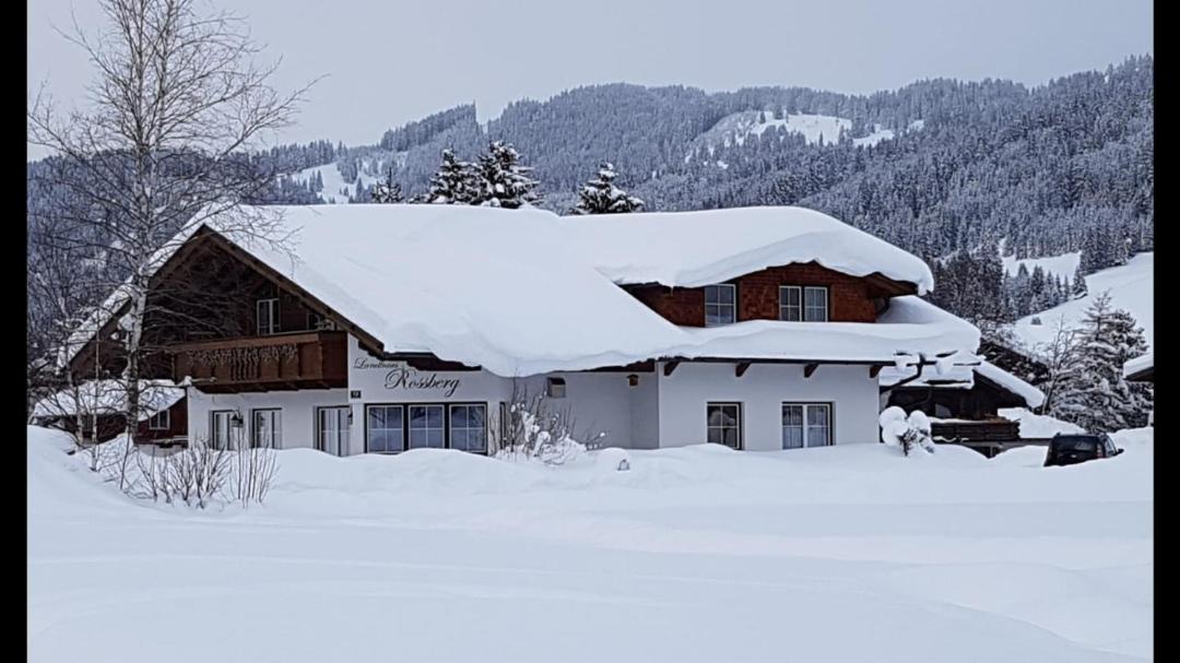 Photo of Buildings in Tannheim