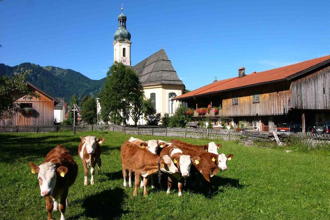 Photo of Buildings in Lenggries