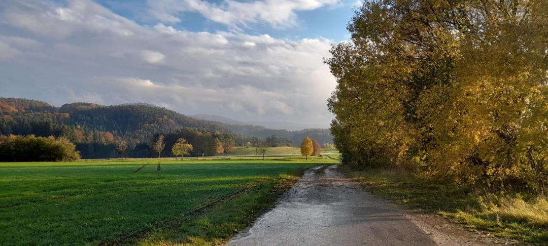 Photo of Outdoor in Lichtenegg