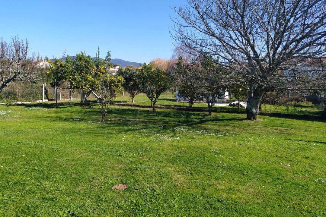 Photo of Others in Vilagarcia de Arousa
