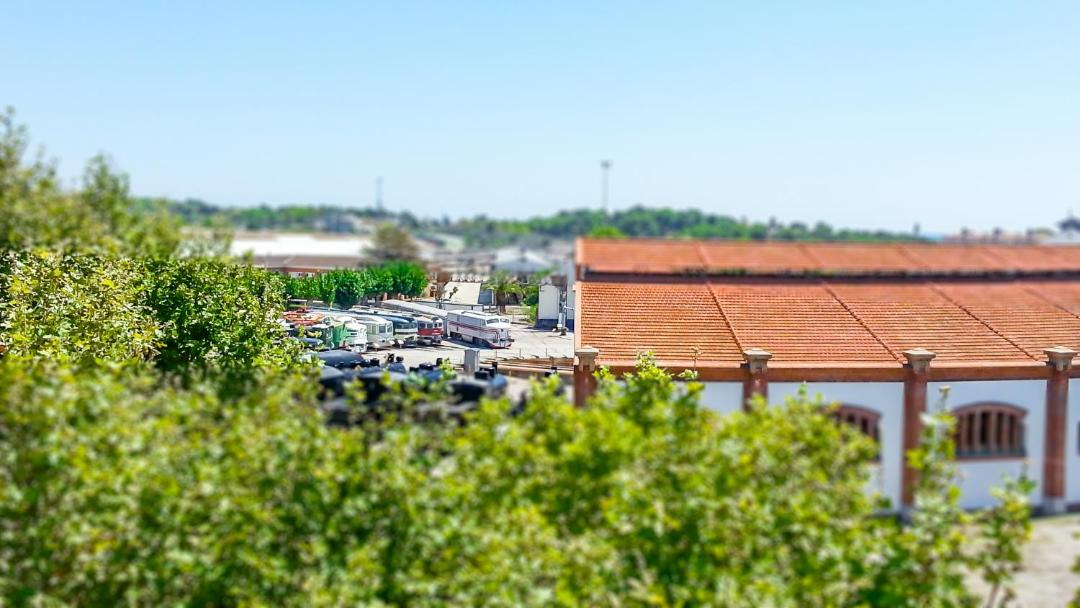 Photo of Others in Vilanova I la Geltru