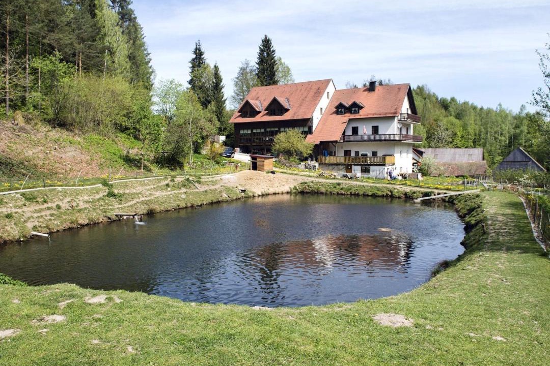 Photo of Others in Schoensee