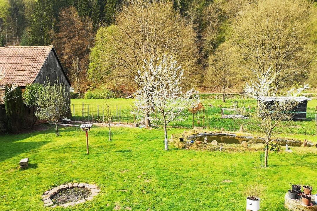 Photo of Others in Obersinn