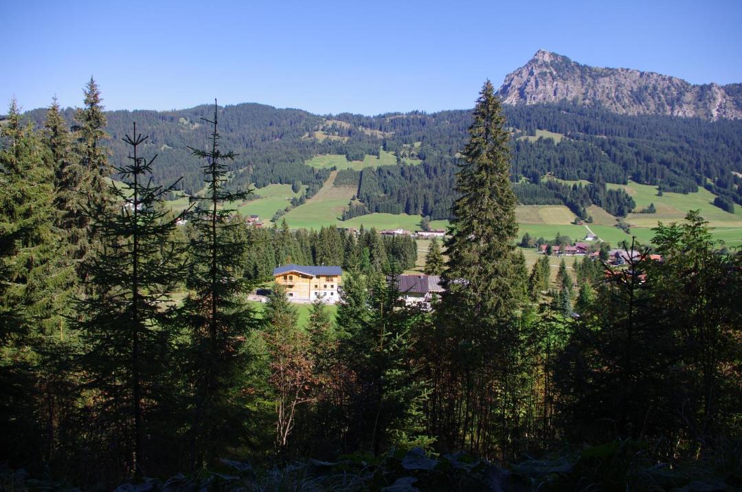 Photo of Outdoor in Tannheim