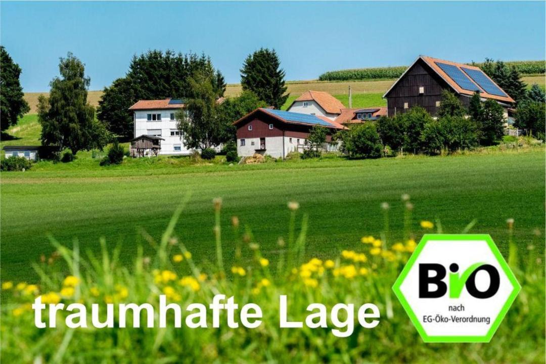 Photo of Others in Stammbach