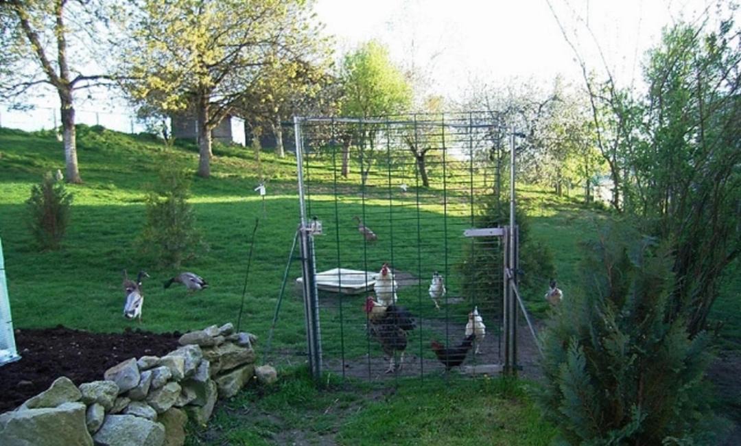 Photo of Others in Witzmannsberg