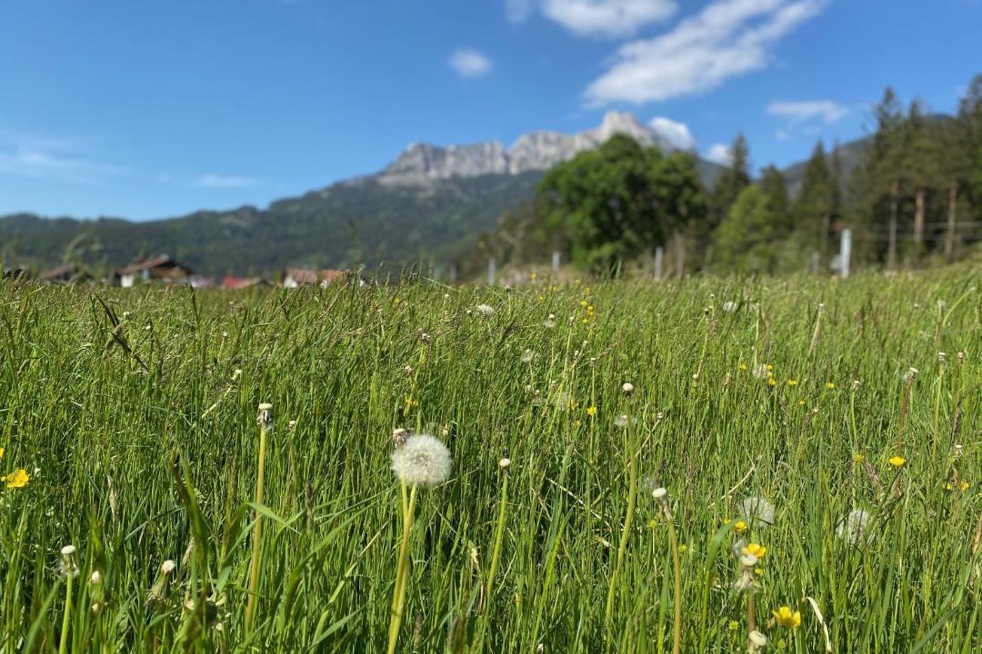 Photo of Outdoor in Pflach