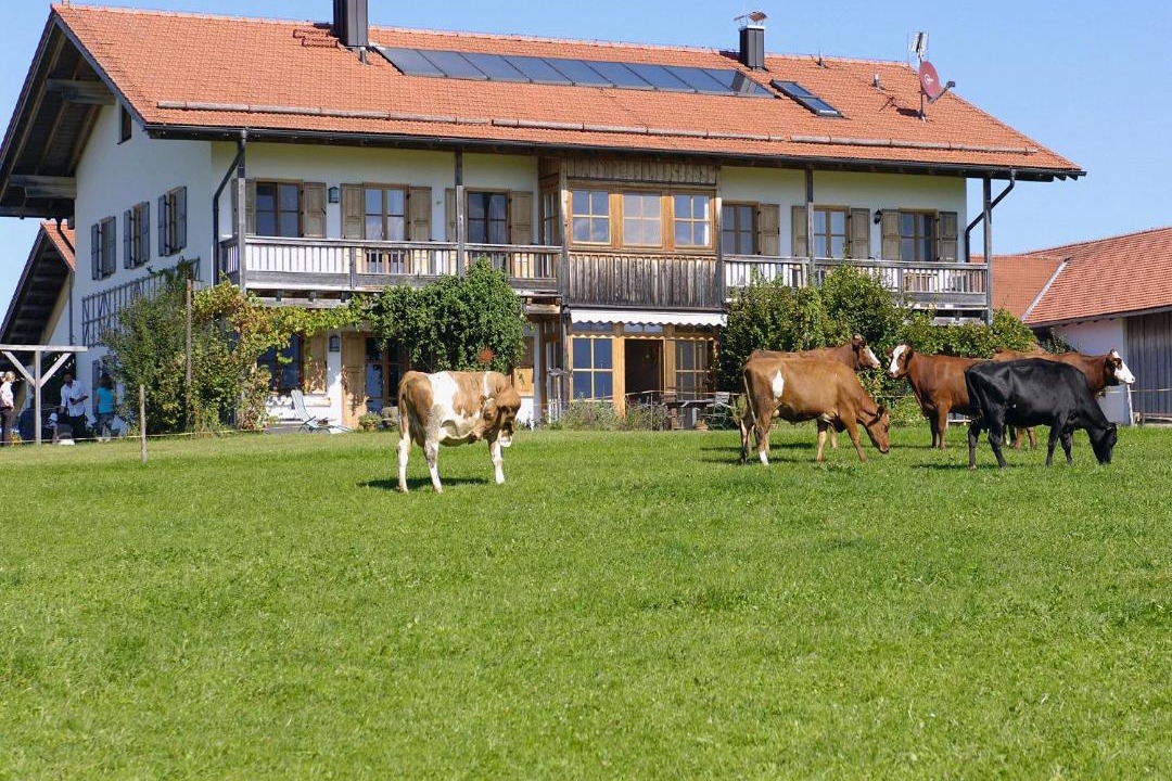 Photo of Others in Sindelsdorf