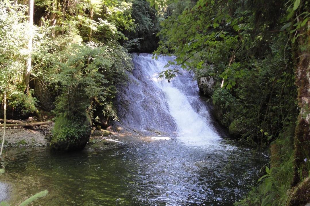 Photo of Others in Weiler im Allgau