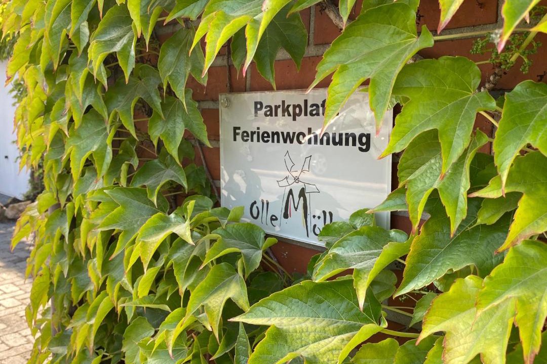 Photo of Others in Bad Bentheim