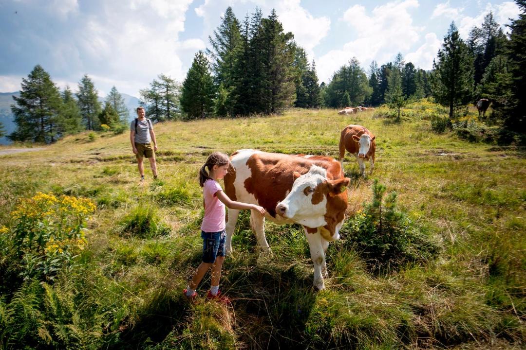 Photo of Others in Laßnitz bei Murau