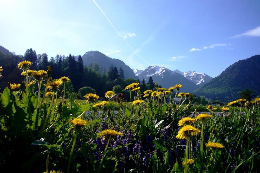 Photo of Others in Oberstdorf