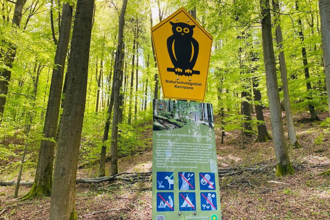 Photo of Others in Waldfenster