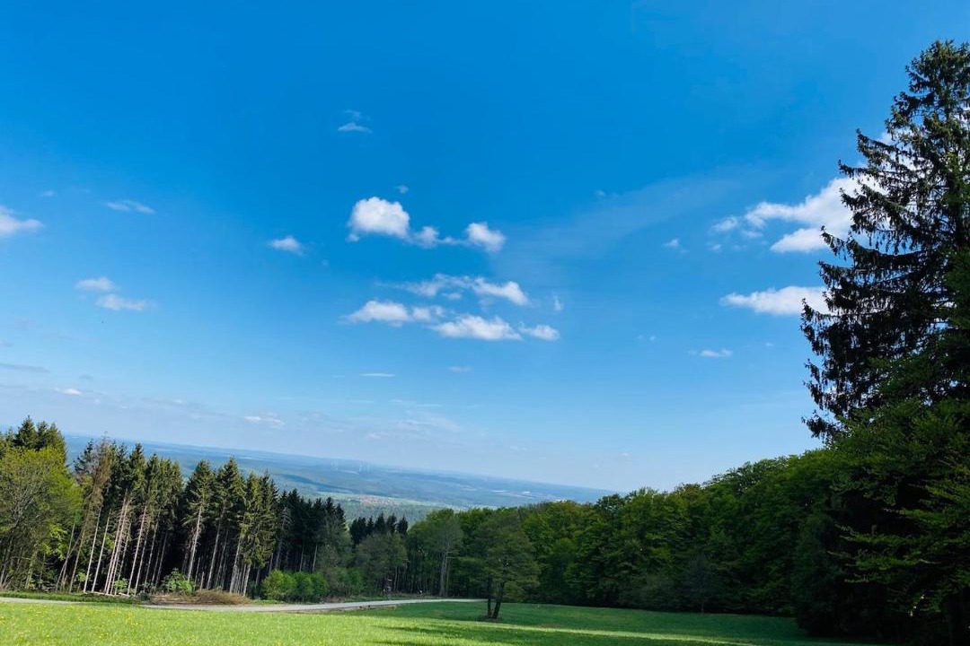 Photo of Others in Waldfenster