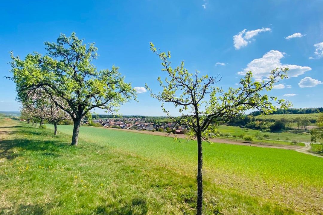 Photo of Others in Waldfenster
