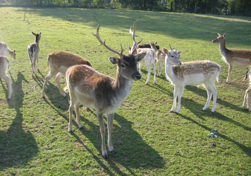 Photo of Others in Neuhof an der Zenn