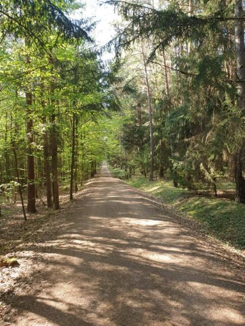 Photo of Others in Neuhof an der Zenn