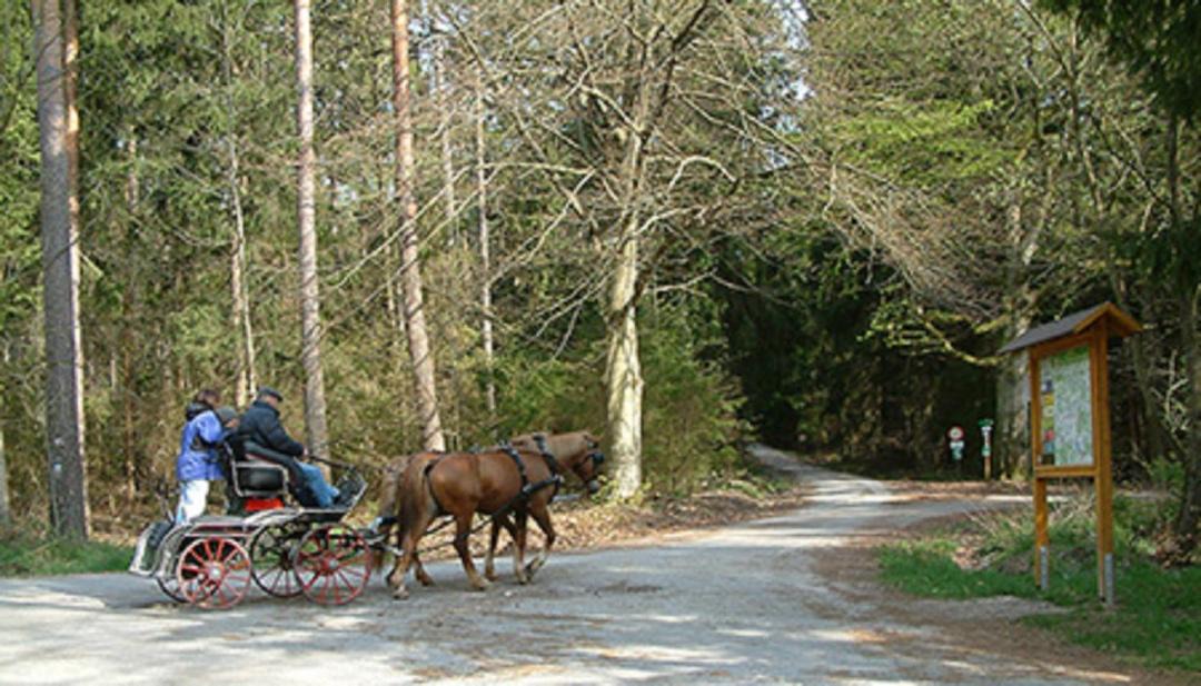 Photo of Others in Wolframs-Eschenbach