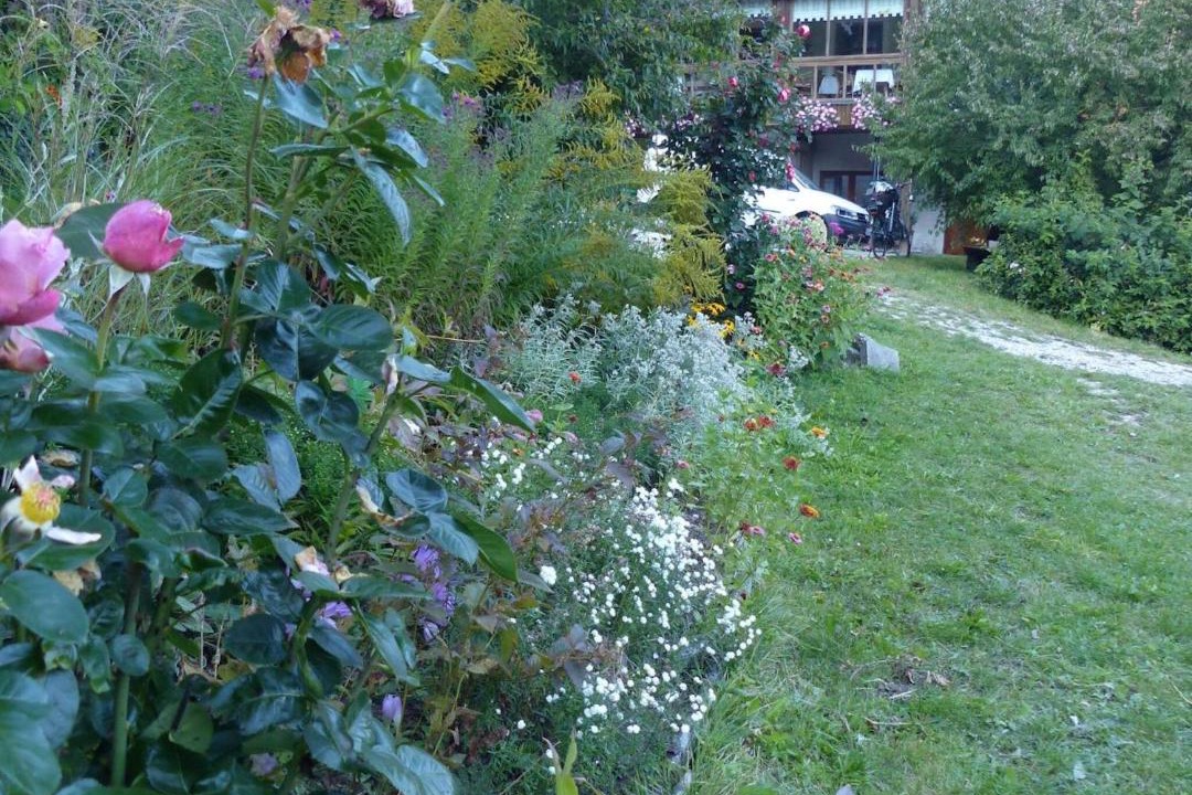 Photo of Others in Schoensee