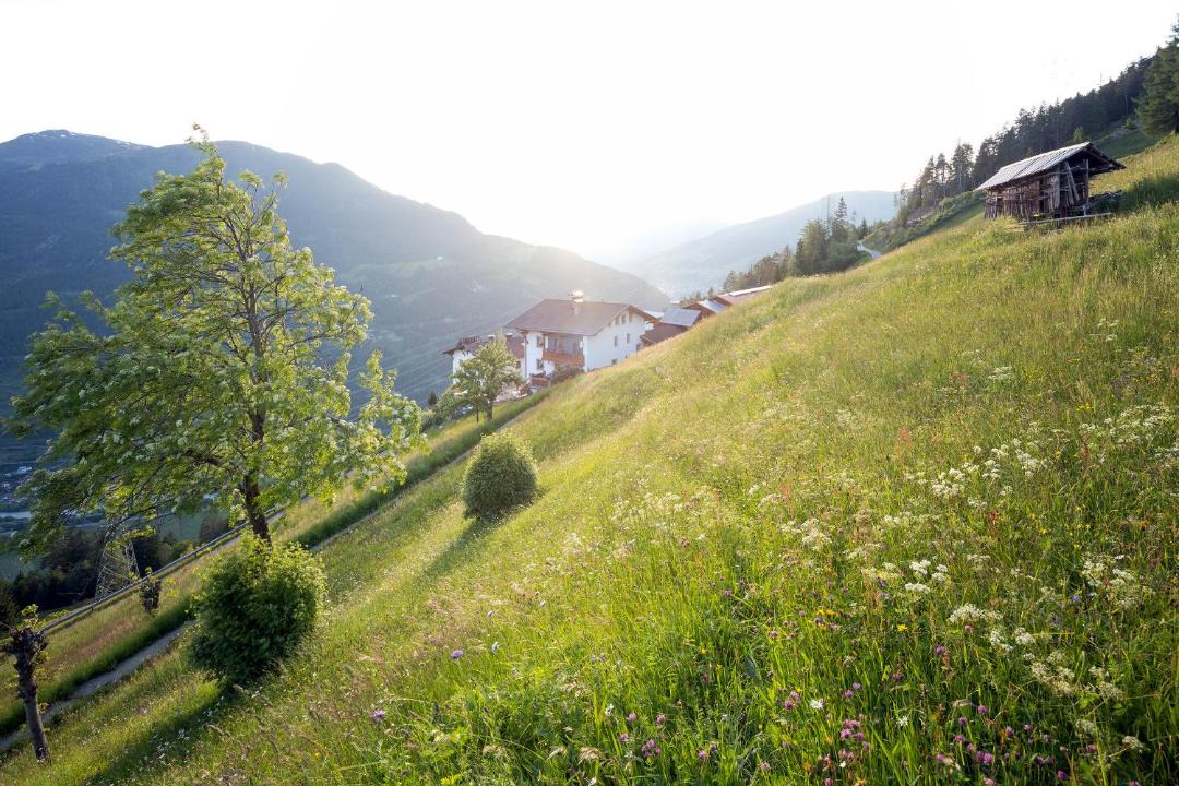 Photo of Others in Kaunerberg