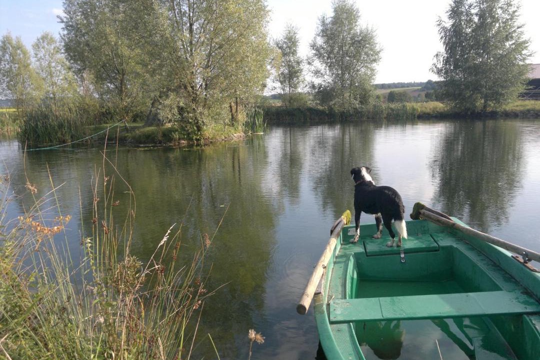 Photo of Others in Gerolfingen