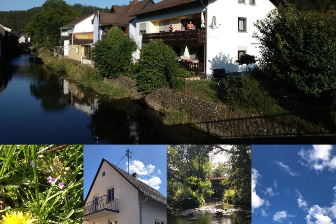 Photo of Others in Steinwiesen